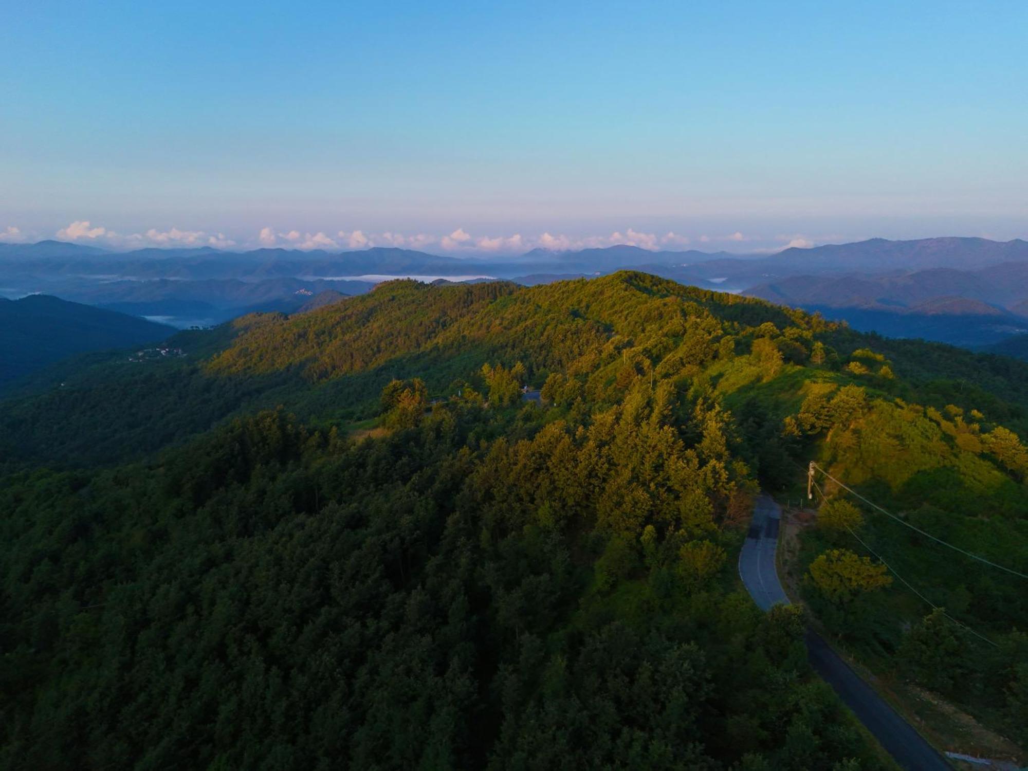 Terra Del Bosco Agriturismo Sesta Godano Екстериор снимка